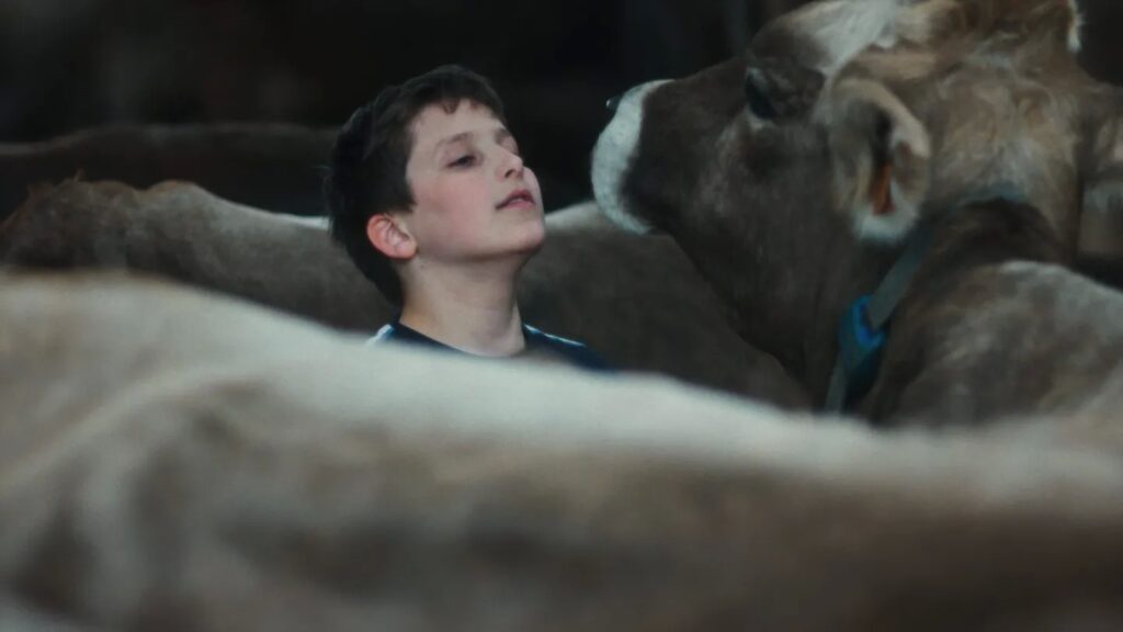 Cannes Film Documentary ‘Gabin’ Filmed a Farm Boy Over a Decade