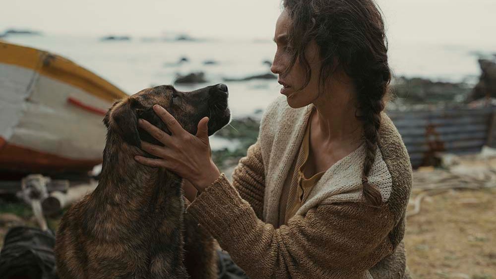 Cannes Palm Dog Award Goes to Yuri, Canine Star of La Perra