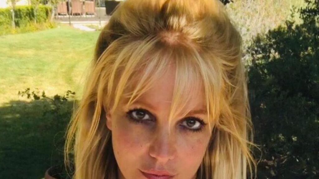 Britney Spears Allegedly Told Cops She Took Adderall, Prozac on Day of DUI Arrest