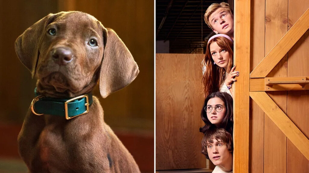 Scooby-Doo Origins: Netflix Reveals Full Cast For Live-Action Series