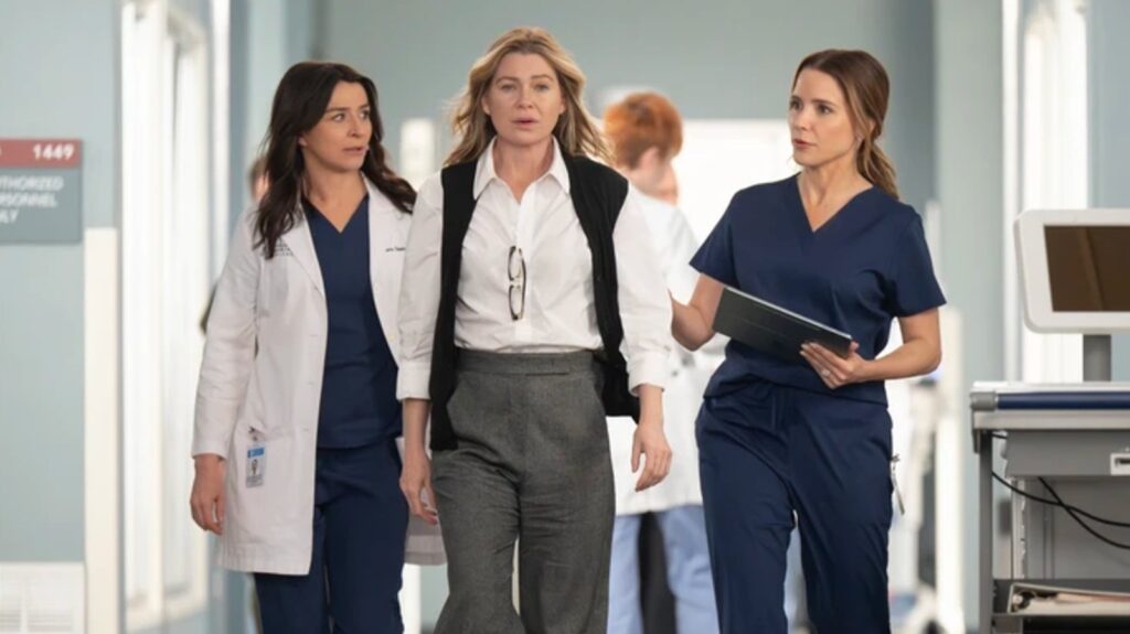 15 Major Movie Stars Who Appeared On Grey’s Anatomy
