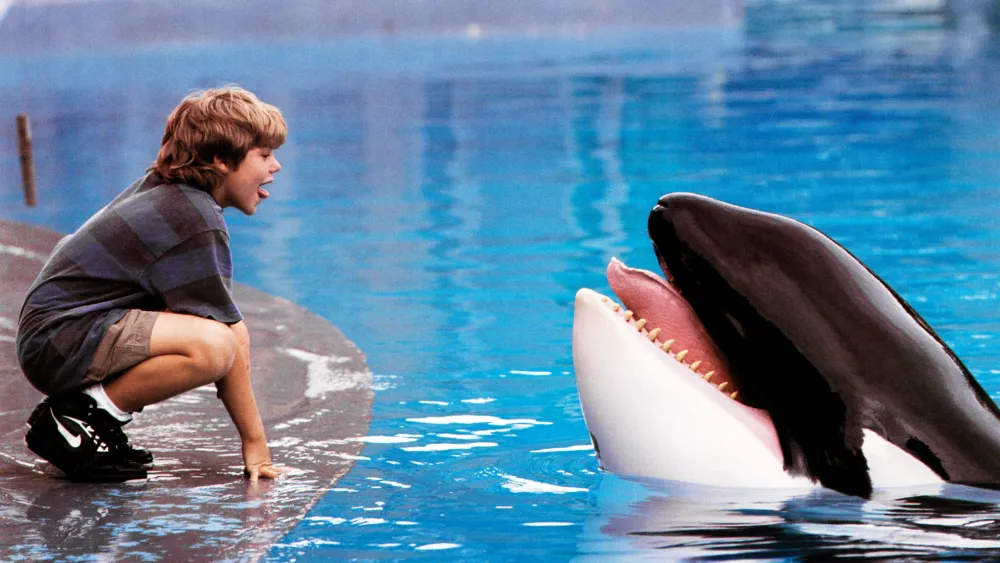 ‘Free Willy’ Reboot in the Works at Warner Bros.