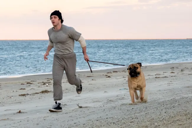 TIFF 2026 Lineup: ‘I Am Rocky’ ‘Misty Green’ world premieres