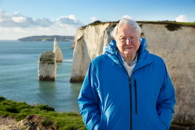 David Attenborough, 100, oldest Emmy nominee ever for ‘Ocean’