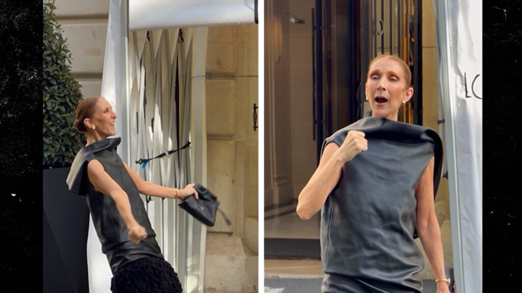 Celine Dion Sings Along With Fans in Street Outside Paris Hotel